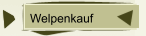 Welpenkauf