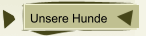 Unsere Hunde